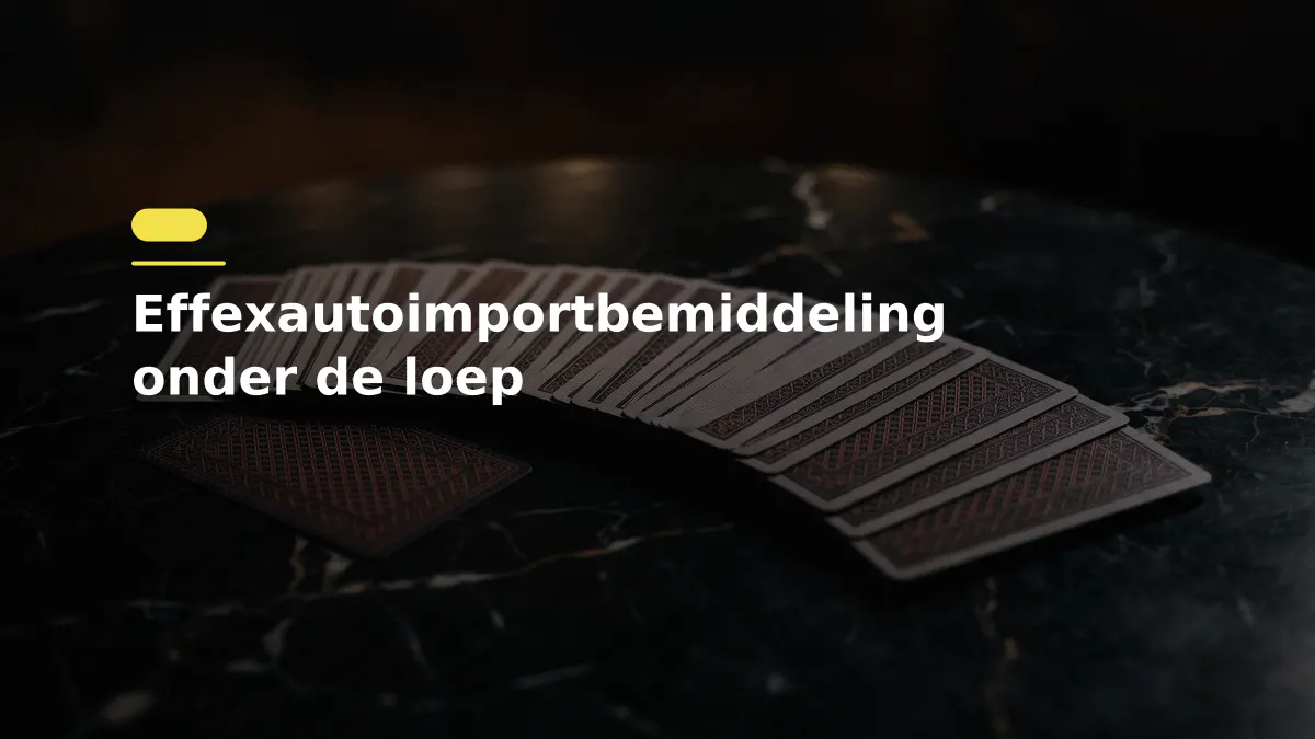 Effexautoimportbemiddeling onder de loep