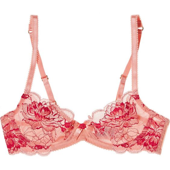 bra-3e7bff62903cc941bce8256d3e168825.jpg