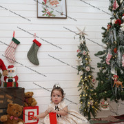 IMG 4466