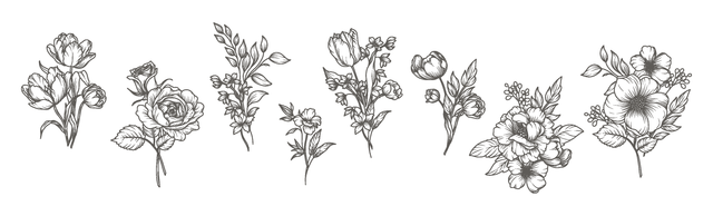 shutterstock 2596743227 (2).png