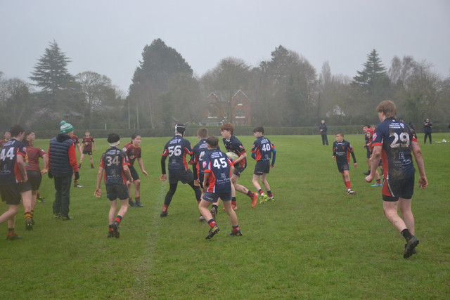 DSC 0938.jpg