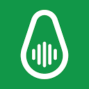 Avocado Audio logo