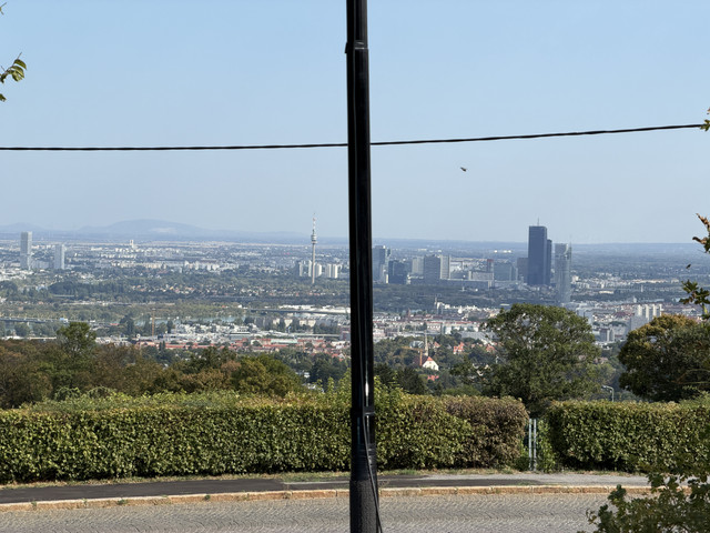 IMG 3310.jpg