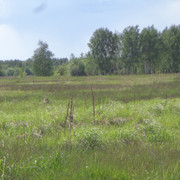 DSC00662