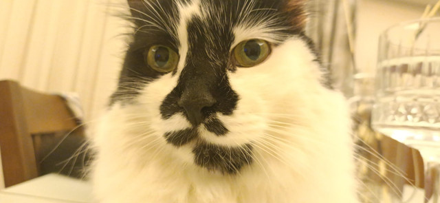 ket