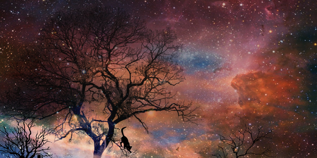 background images for flex printings (63)