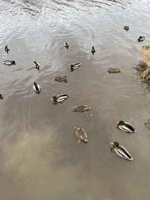 IMG-1404