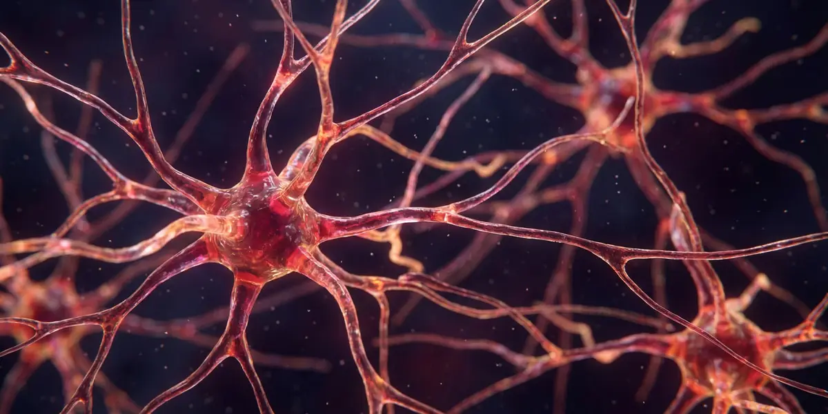 Ayahuasca May Shield Brain from Stress Damage, Primate Study Shows