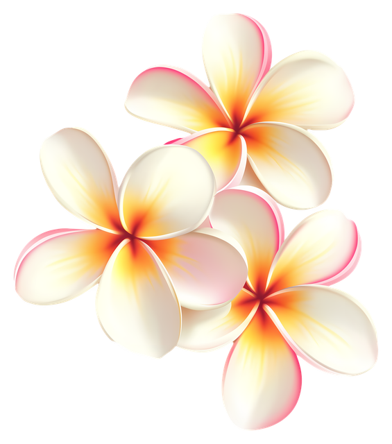 e207790b00879c053b20cdf3601985c2.png
