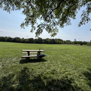 IMG-9090