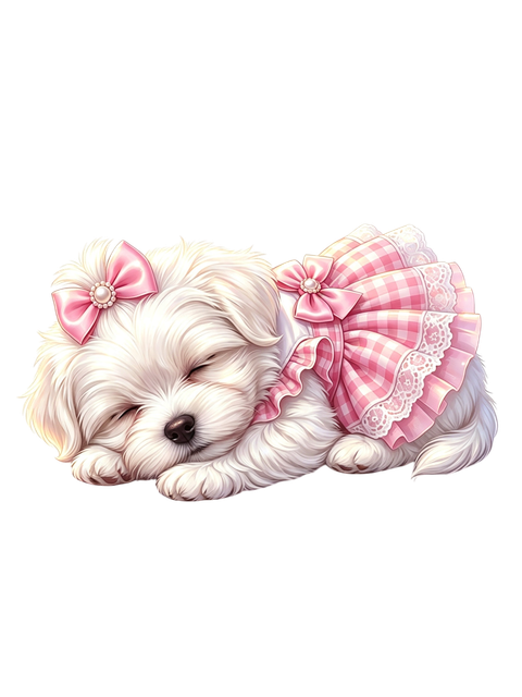 Photoroom 20260811 001544.png