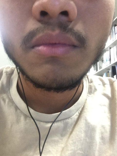 8-5-week-update