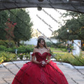 IMG 2677