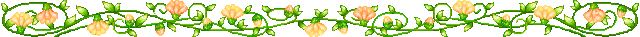 vine4