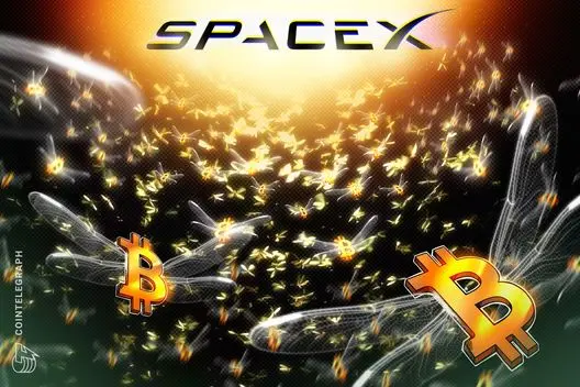 SpaceX's Bitcoin Stash Revealed in IPO Filing