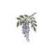 Wisteria Icon