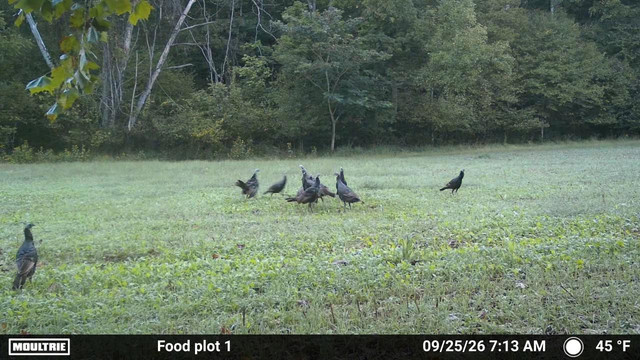 IMG 2353