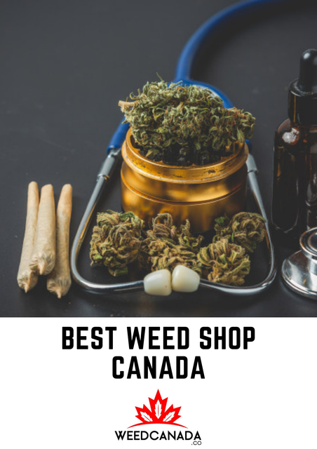Best-Weed-Shop-Canada-12.png