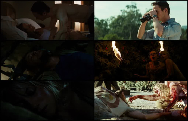 ZF6-T5wy-HXk8coc5-1750283120