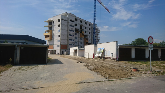 DSC-0016