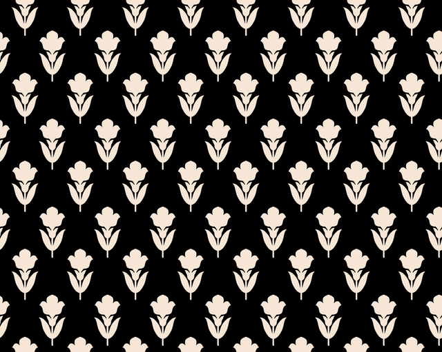 ali 01 (68).png