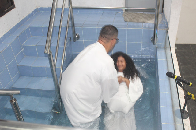IMG-0441.jpg