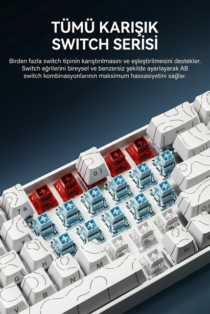 asdsafd