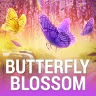 butterfly blossom
