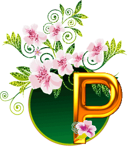 p.gif