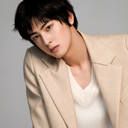 cha eun woo 1151447