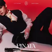 chan a c e 1352167