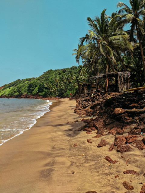 Madpackers Goa / Anjuna