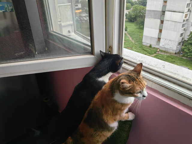 IMG 20260604 192357.jpg
