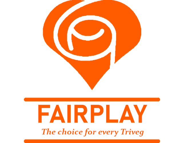 Fairplay-Partylogo