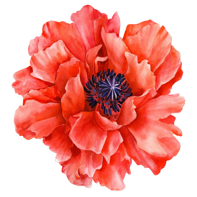 Adobe Stock 361077673.jpg