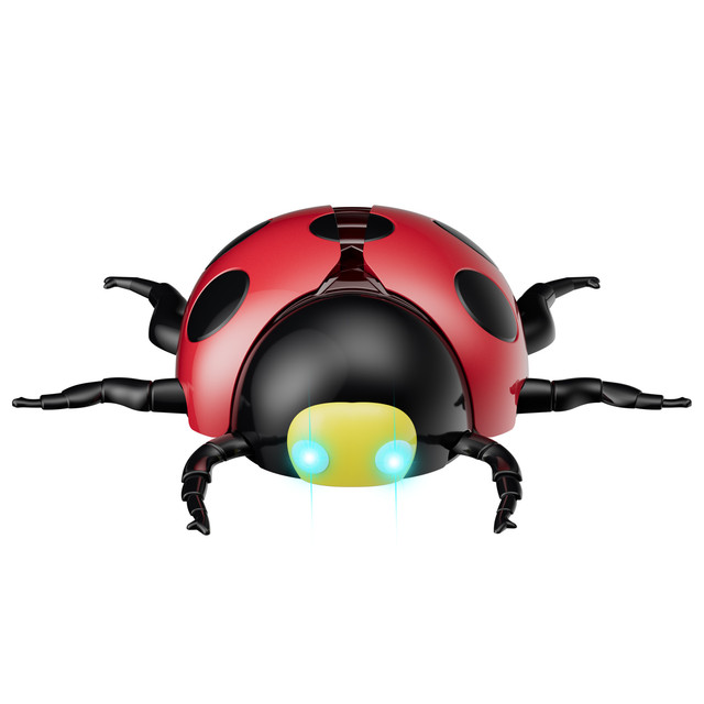 RC7 WB Image 02.jpg
