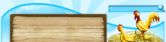 header.jpg