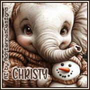 Christy ADFav20TBT26 vi