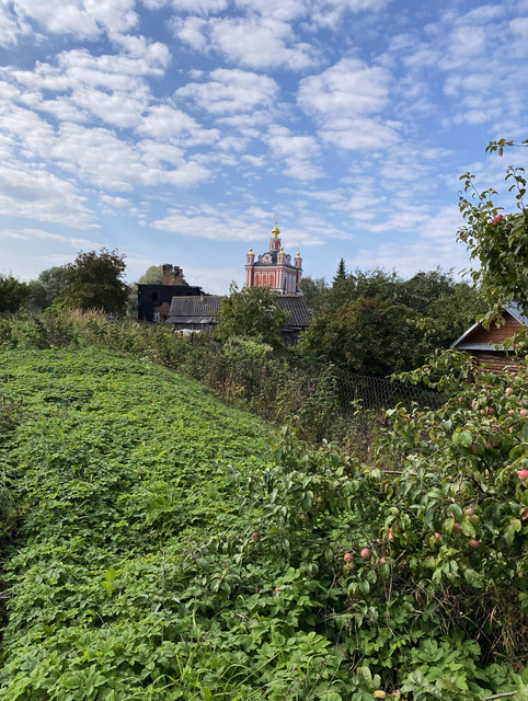 IMG-0504