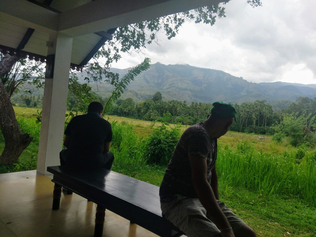 IMAG0322.jpg