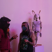 IMG-8429
