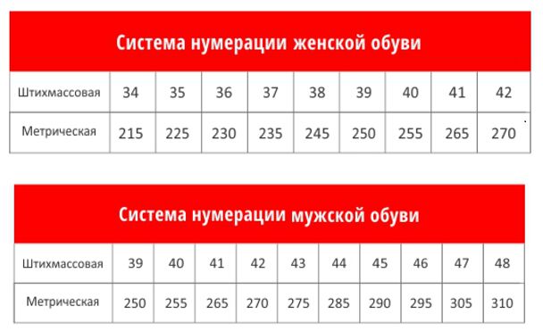 https://i.ibb.co/TPDyLCc/226319332.jpg