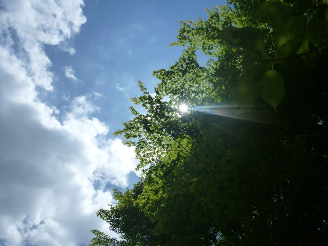 P1330829