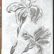 26