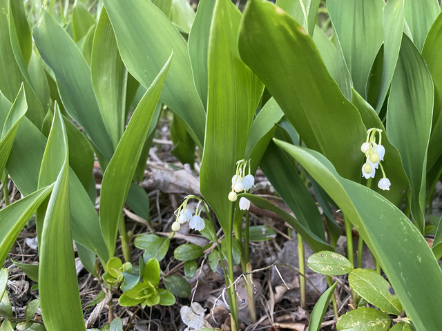 139786-D0-8-F1-D-4552-BEC7-E4-D6-C6-CBBE