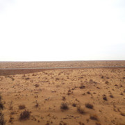 IMG-20221029-100123