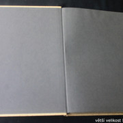 IMG-3101