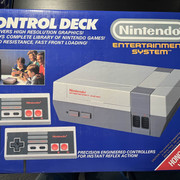 nes1