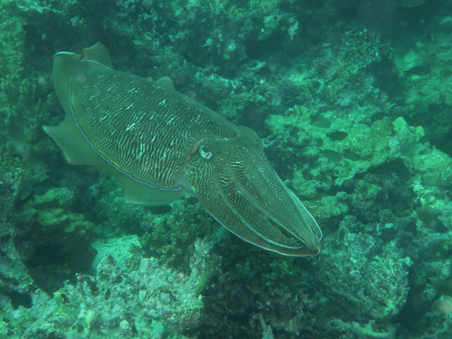 IMG 0780