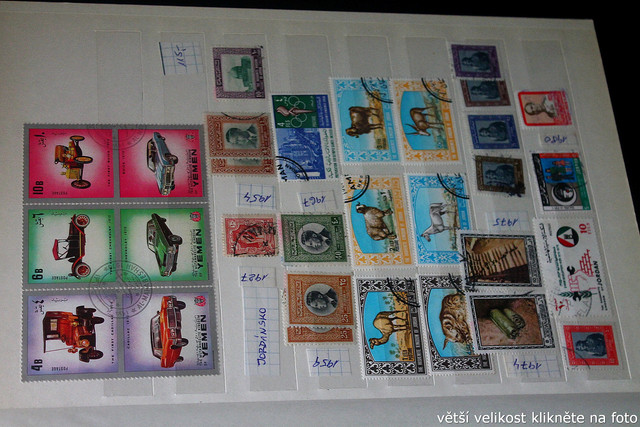 IMG-3771.jpg